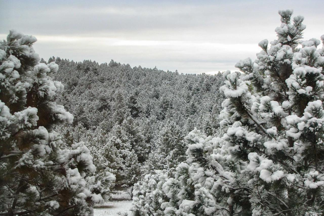 The Apartment Retreat Near Mount Rushmore Hermosa 外观 照片