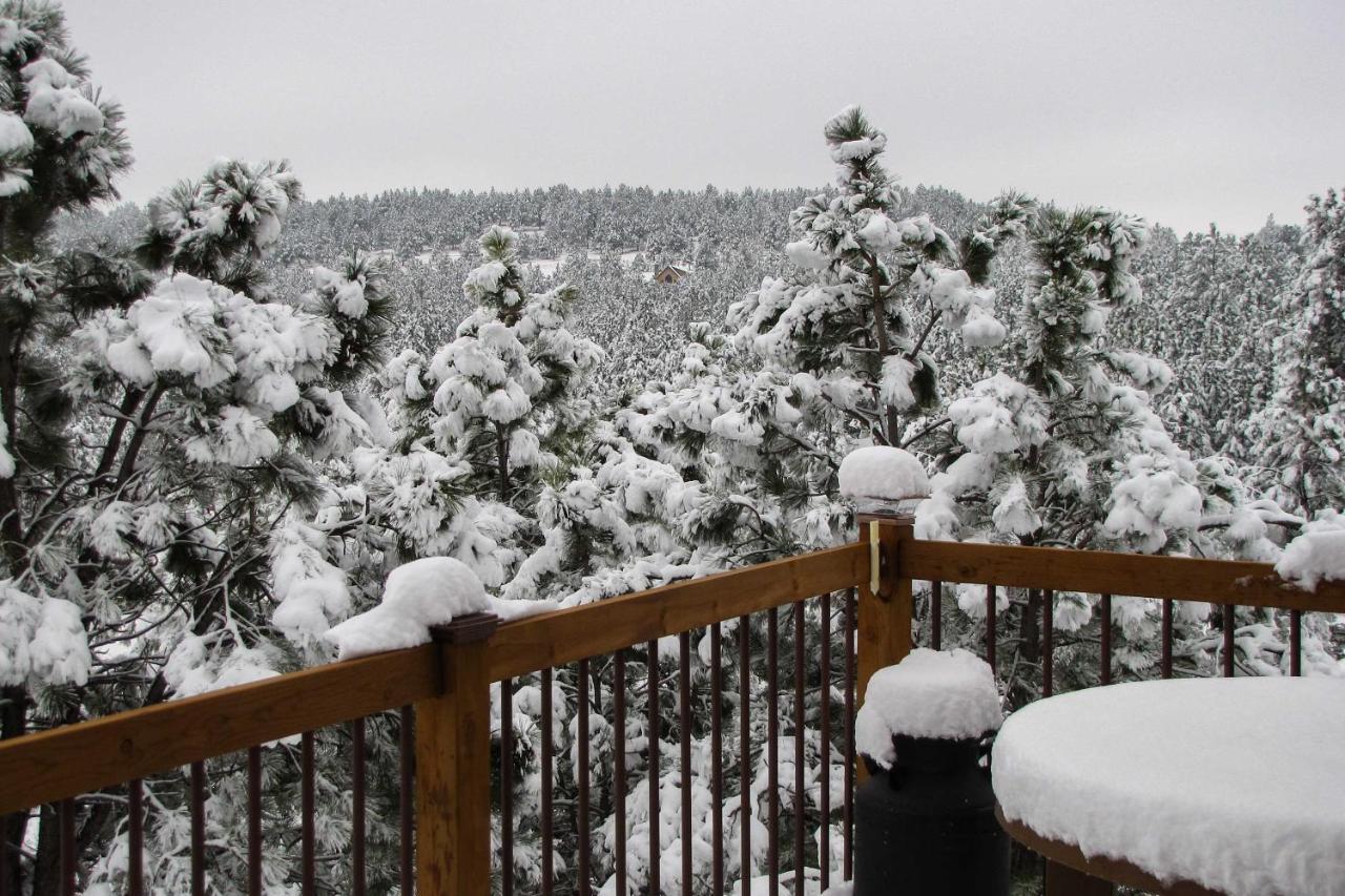 The Apartment Retreat Near Mount Rushmore Hermosa 外观 照片